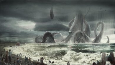 Photo of Мистические представления о моллюсках