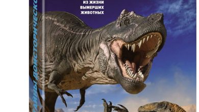 Photo of Мифы о вымерших моллюсках