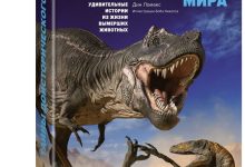 Photo of Загадки вымерших моллюсков