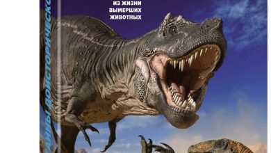 Photo of Загадки вымерших моллюсков