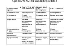 Photo of Уникальные способы питания моллюсков