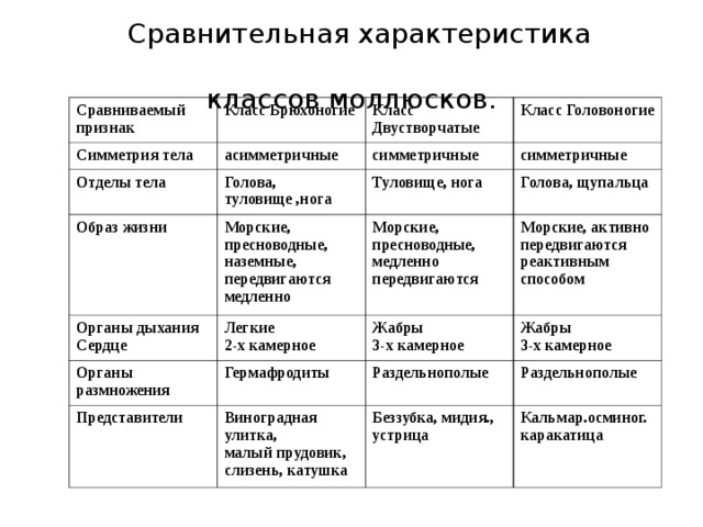 Фото 8 — Уникальные способы питания моллюсков